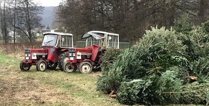 Christbaumsammlung Traktor Weihnachtsbaum