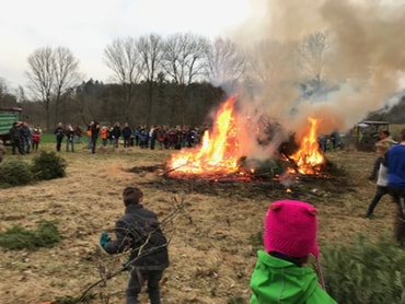 Christbaumsammlung Feuer Weihnachtsbaum