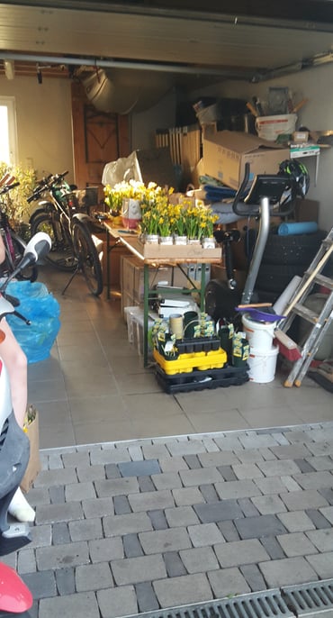 Mach was draus Osteraktion